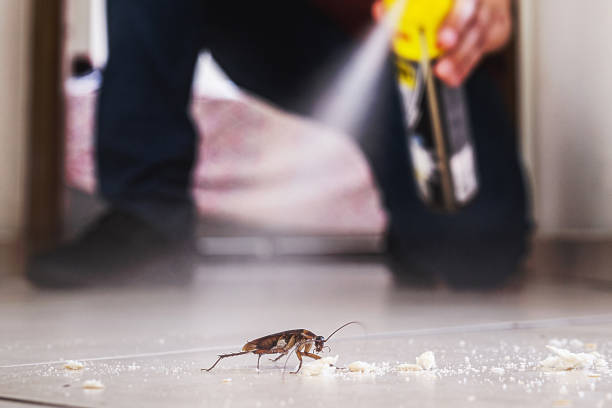 Trusted Newport, KY Pest Control Experts